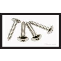 SS Self Tapping Screws – Stainless Steel Type AB/A Sheet Metal Screws for Thin Metal and Plastic – A2/A4 Grade 304/316, Pan, CSK, Hex Head, Passivated Finish, Metric and Inch Sizes